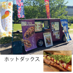 ホットダックス